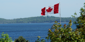 പ്രഫഷണൽസിന് മുൻപിൽ വാതിൽ മലർക്കെ തുറക്കാൻ കാനഡ